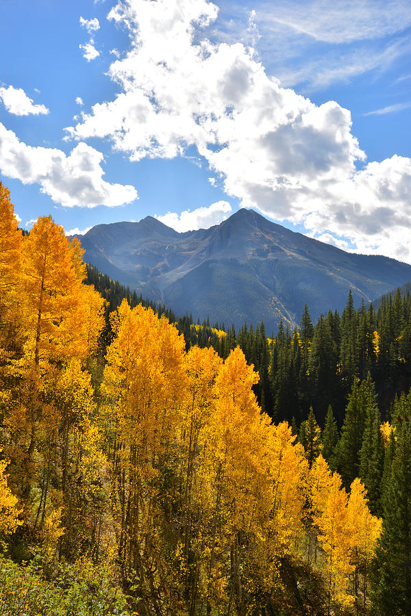 Silverton Fall Colors #5 Photograph by Ray Mathis