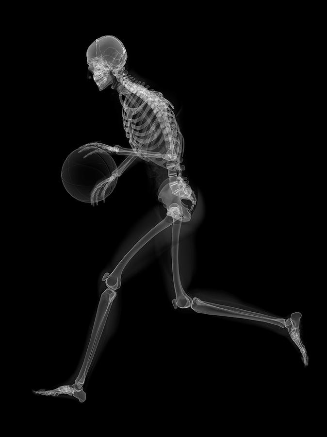 Skeleton Playing Basketball #4 Photograph by Sciepro/science Photo Library