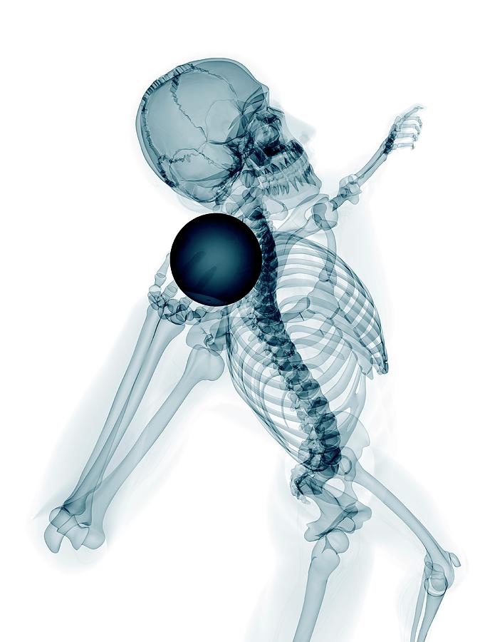 Skeleton Throwing Shot Put #4 Photograph by Sciepro/science Photo Library