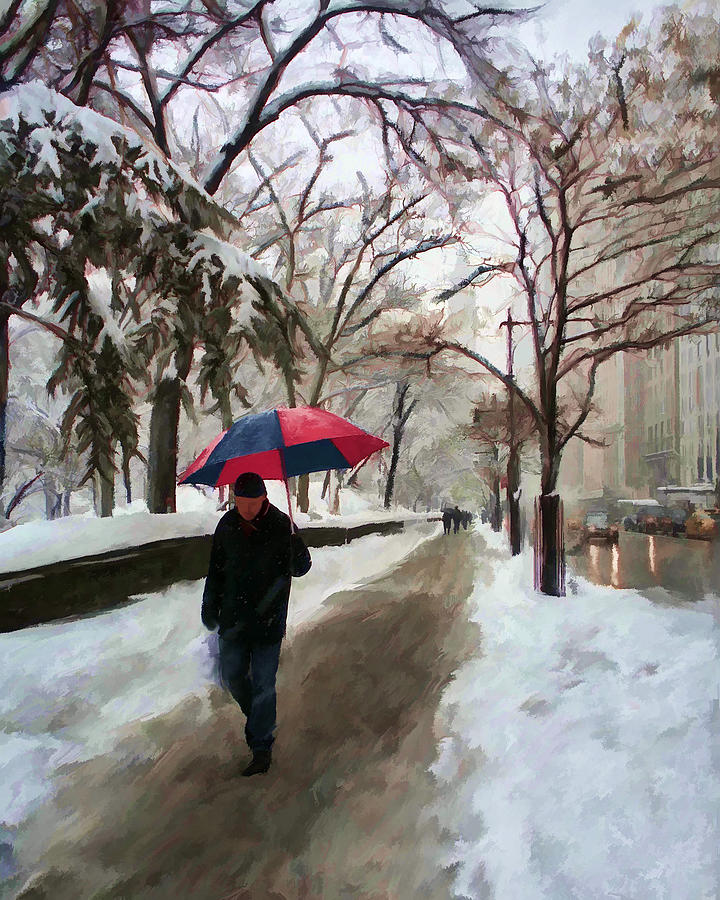 Snowfall in Central Park Digital Art by Deborah Boyd