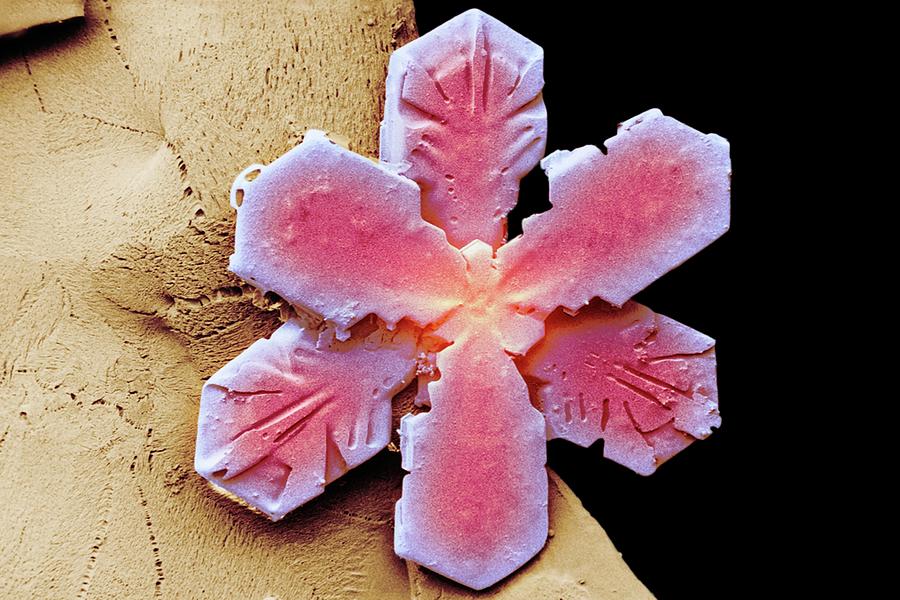 Snowflake #4 Photograph by Ars/us Dept Of Agriculture