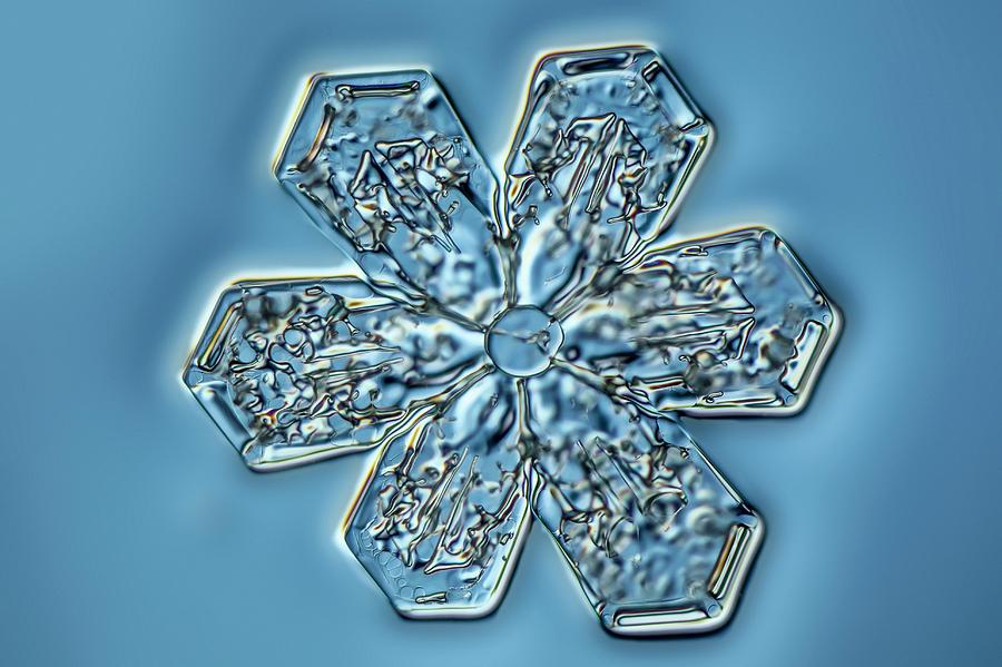 Snowflake Crystal #4 Photograph by Gerd Guenther