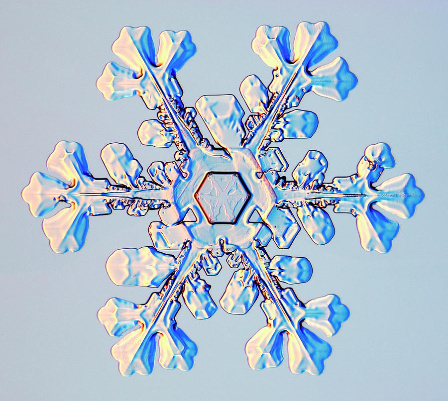 Snowflake #4 Photograph by Kenneth Libbrecht/science Photo Library