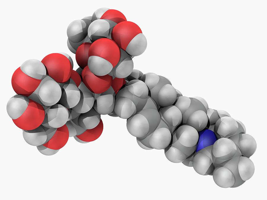 Solanine Poison Molecule #4 by Laguna Design/science Photo Library