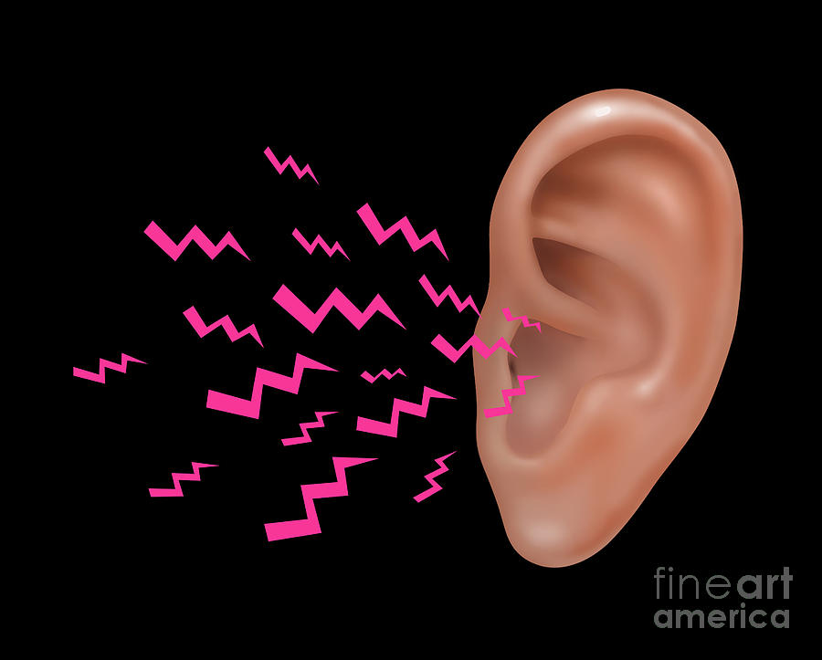 Sound Entering Human Outer Ear Photograph by Gwen Shockey