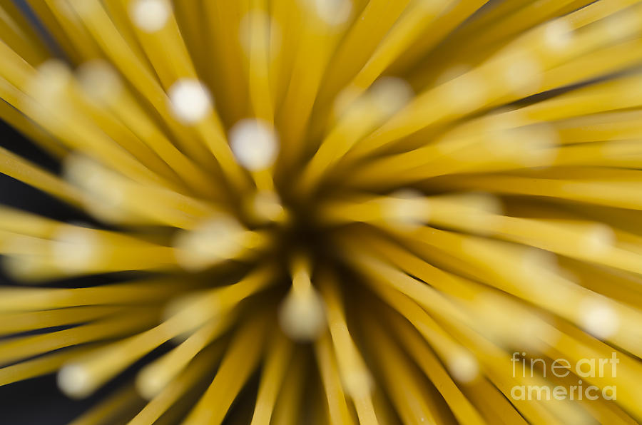 Pasta Photograph - Spaghetti #4 by Mats Silvan