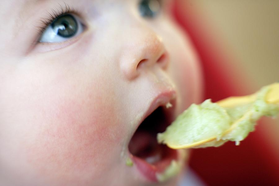 spoon-feeding-photograph-by-ian-hooton-science-photo-library-fine-art