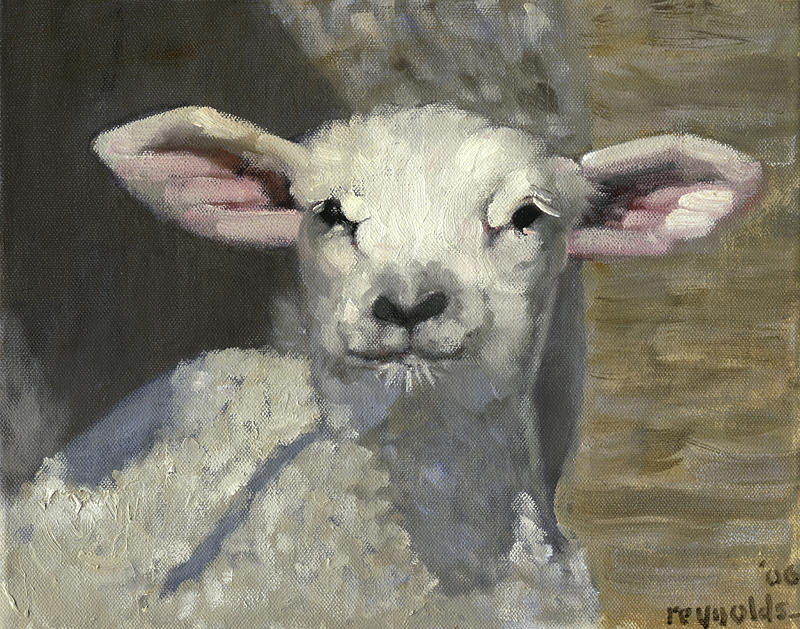 Spring Lamb #4 Painting by John Reynolds