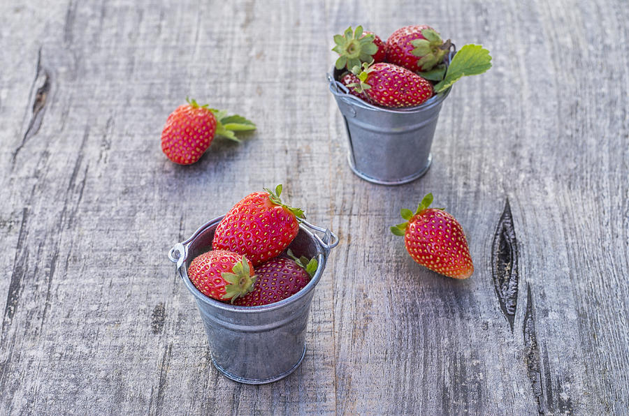 Strawberries in pots #4 Photograph by Paulo Goncalves