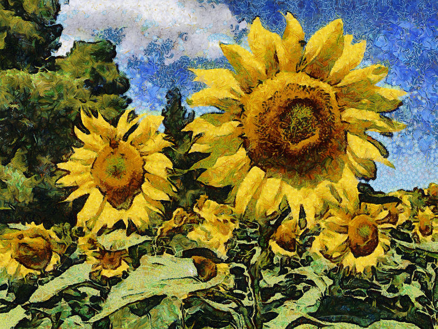 Sunflowers #5 Digital Art by Roy Pedersen