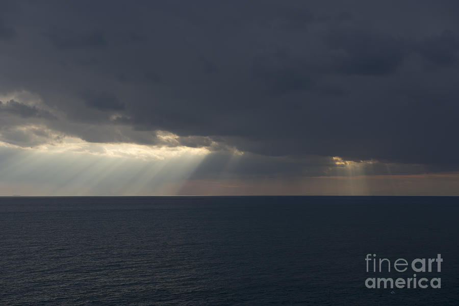 Seagull Photograph - Sunlight over the sea #4 by Mats Silvan