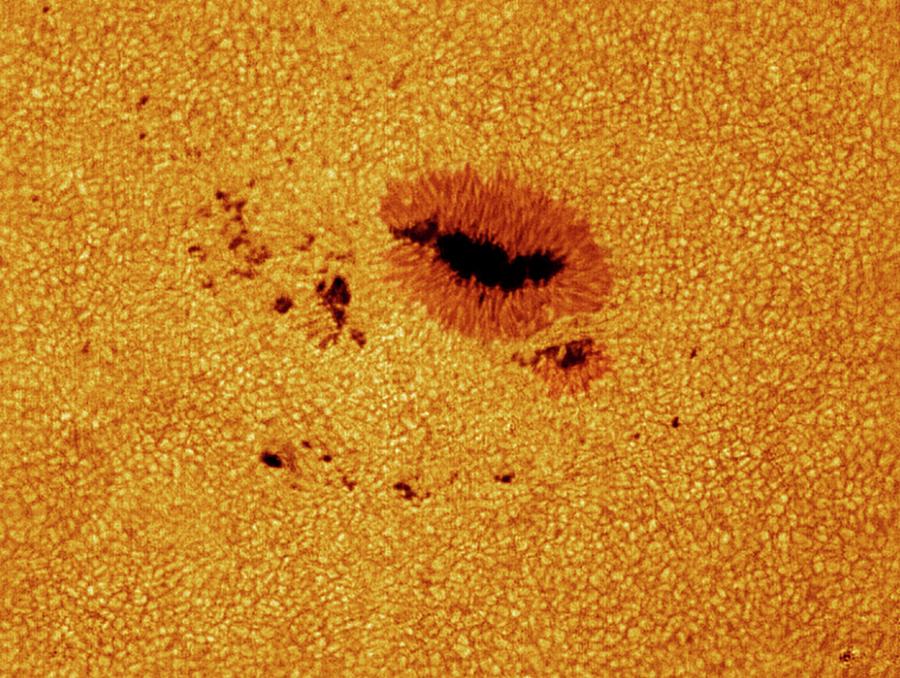 Space Photograph - Sunspots #4 by Damian Peach