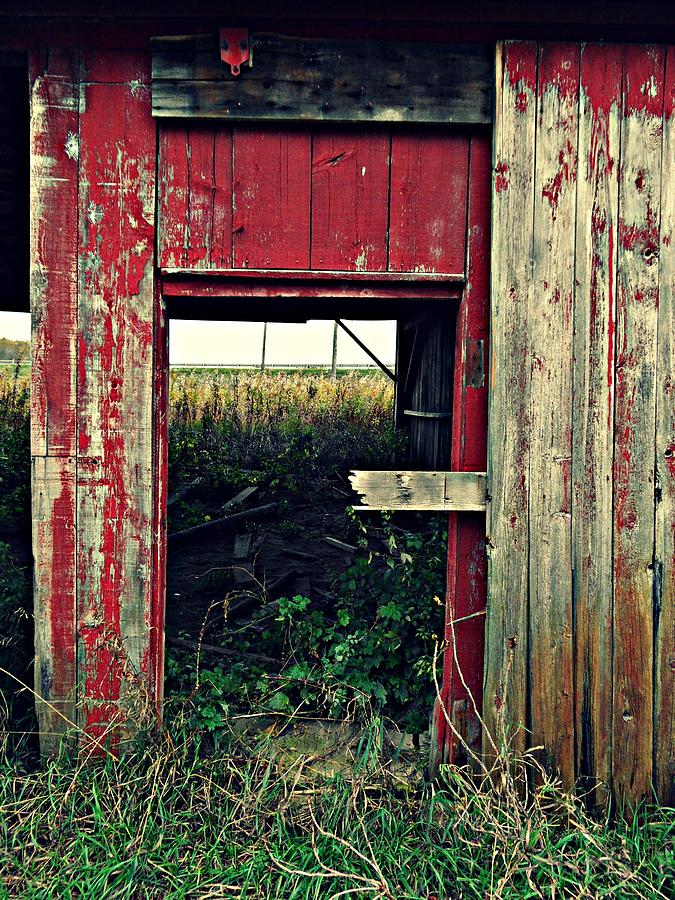 The Blushing Barn #5 Photograph by Cyryn Fyrcyd