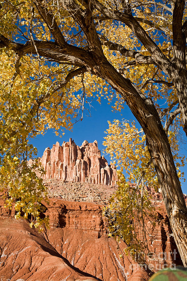 The Castle Capitol Reef National Park Photograph by Fred Stearns