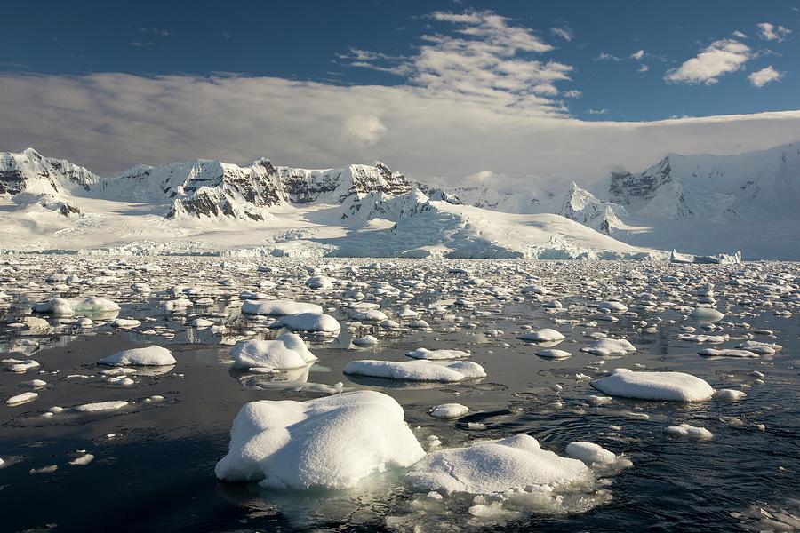 The Gerlache Strait Photograph by Ashley Cooper