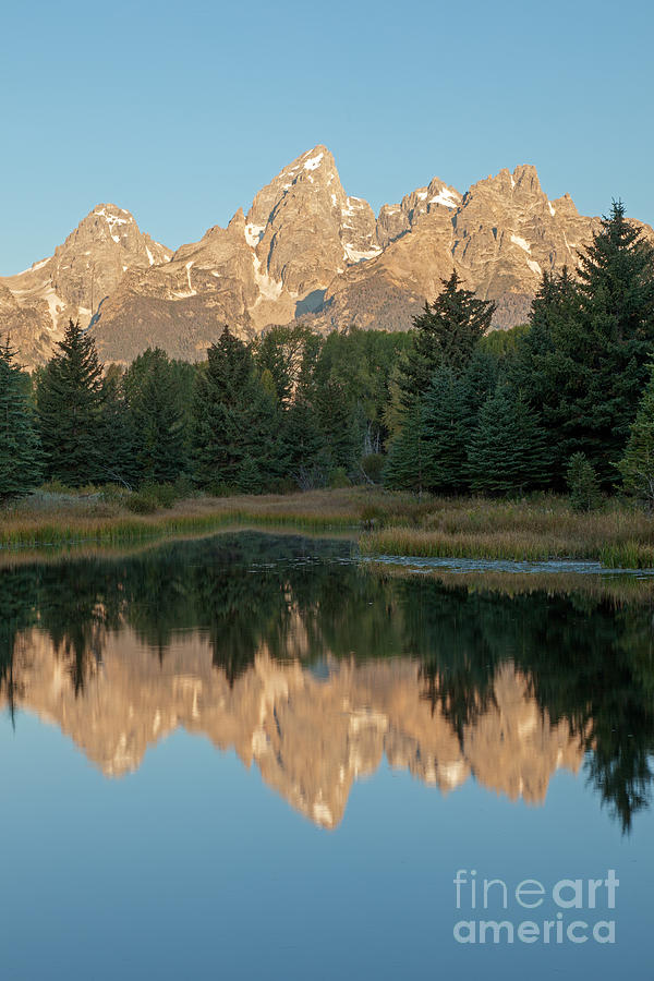 The Grand Tetons Schwabacher Landing Grand Teton National Park #4 Photograph by Fred Stearns