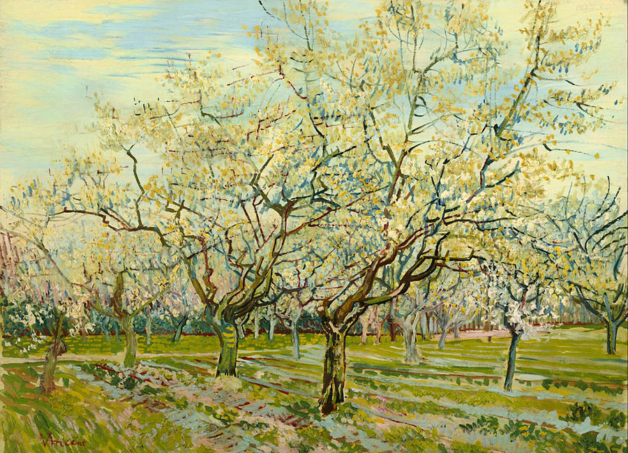 The White Orchard #2 Painting by Vincent Van Gogh