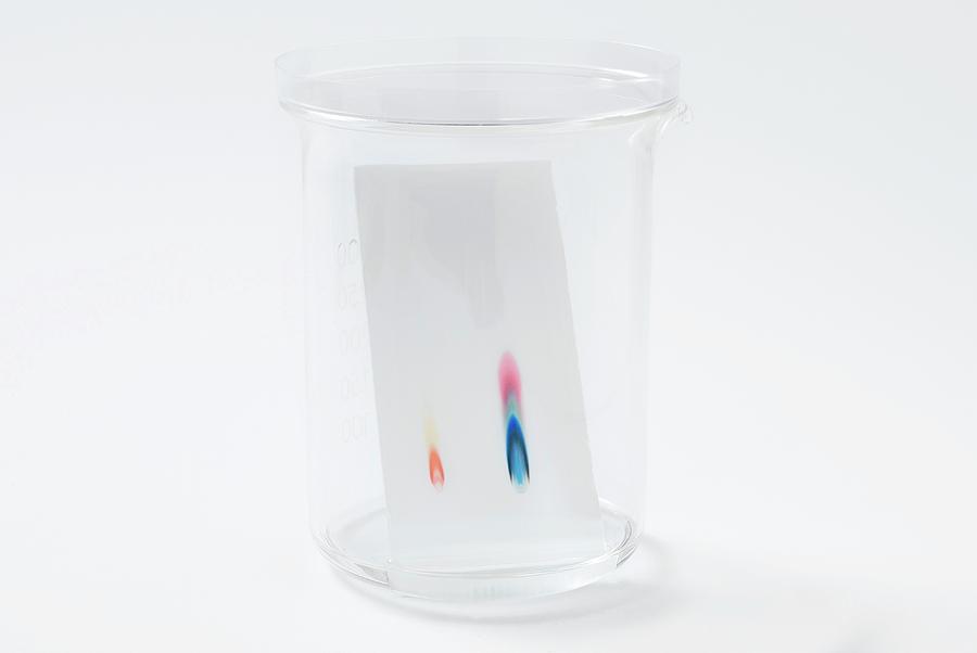 Still Life Photograph - Thin-layer Chromatography #4 by Trevor Clifford Photography