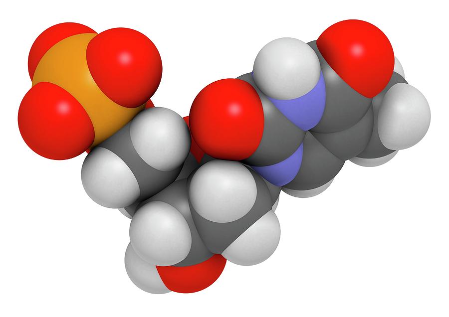 Thymidine Photograph - Thymidine Monophosphate Molecule #4 by Molekuul