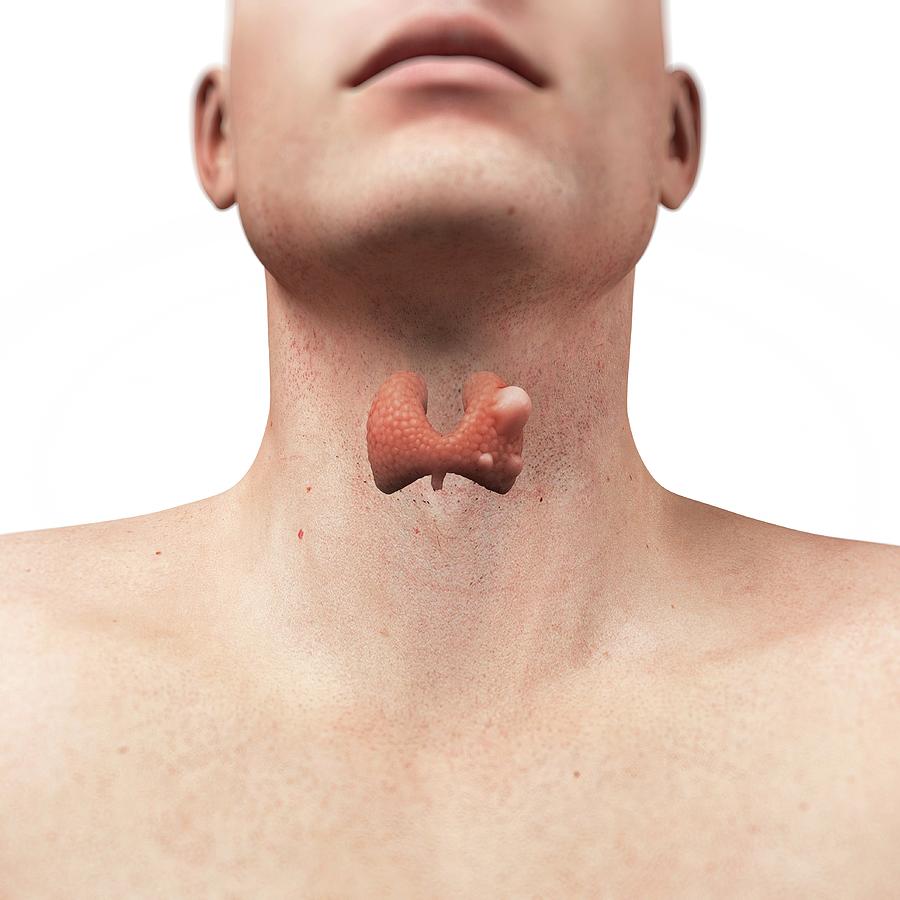 signs-and-symptoms-of-cancerous-thyroid-nodules-thyroid-nodules