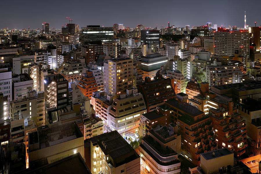 Tokyo Cityscape At Night #4 Photograph by Vladimir Zakharov