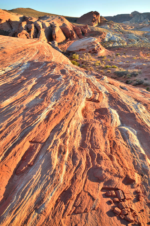 Trail to the Fire Wave - Valley of Fire #5 Photograph by Ray Mathis