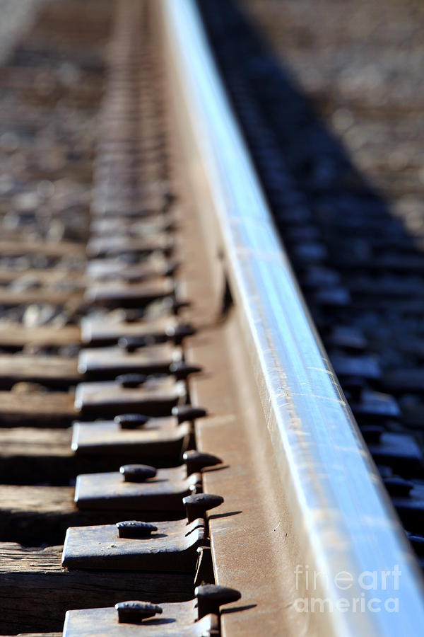 Train Track #4 Photograph by Henrik Lehnerer