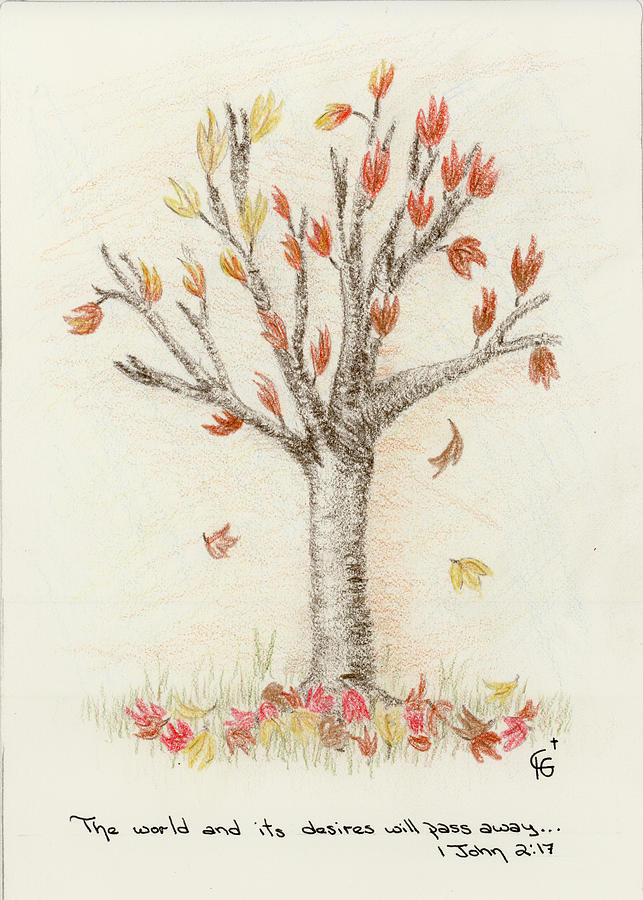 4 Trees-1st Tree Fall Drawing by Christine Gibson