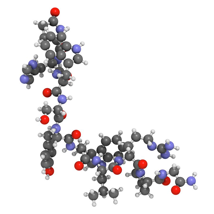 Illustration Photograph - Triptorelin Drug Molecule #4 by Molekuul