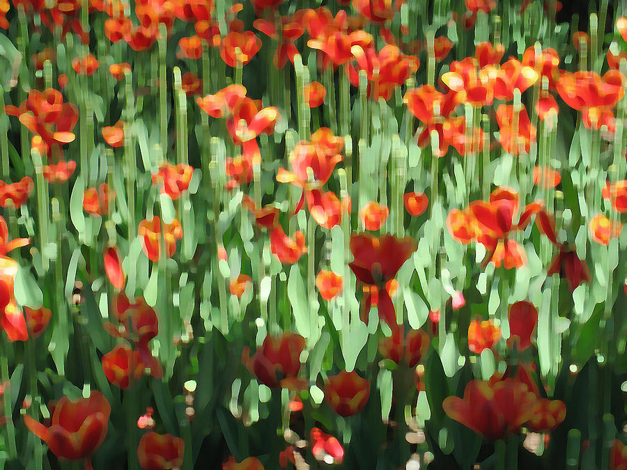 Tulips #4 Photograph by Yue Wang