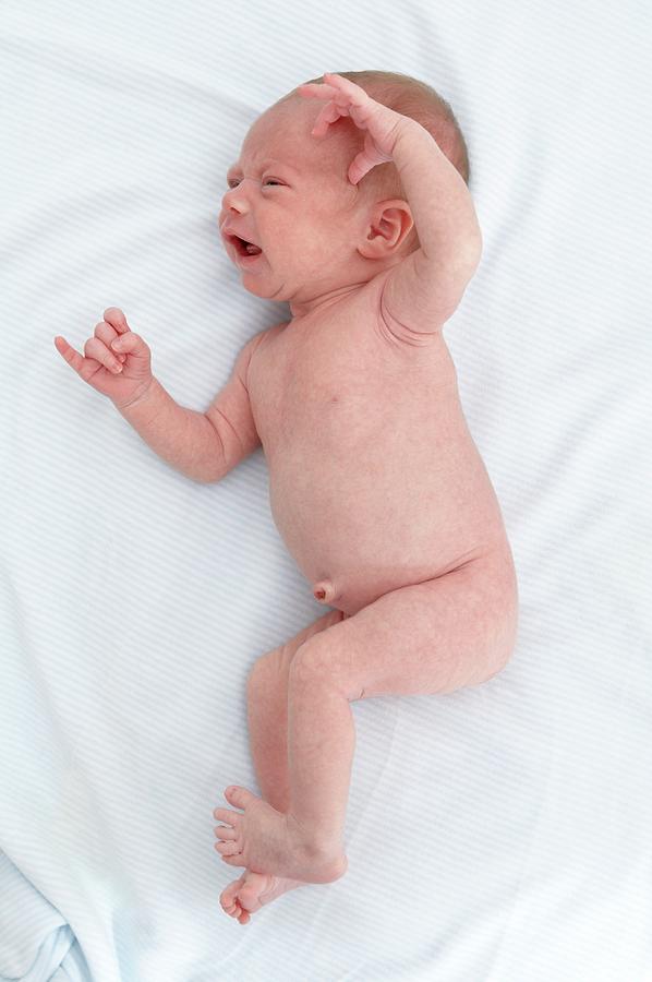 two-week-old-baby-boy-photograph-by-ruth-jenkinson-science-photo