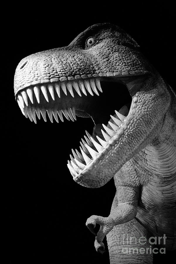 Tyrannosaurus Rex dinosaur #4 Photograph by Gaspar Avila