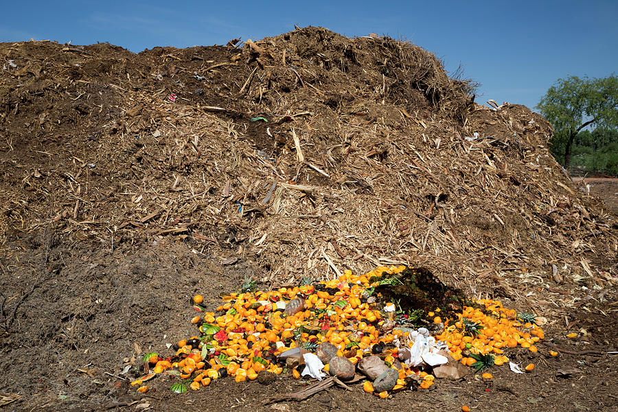 University Of Arizona Photograph - University Food Waste Composting Program #4 by Jim West/science Photo Library