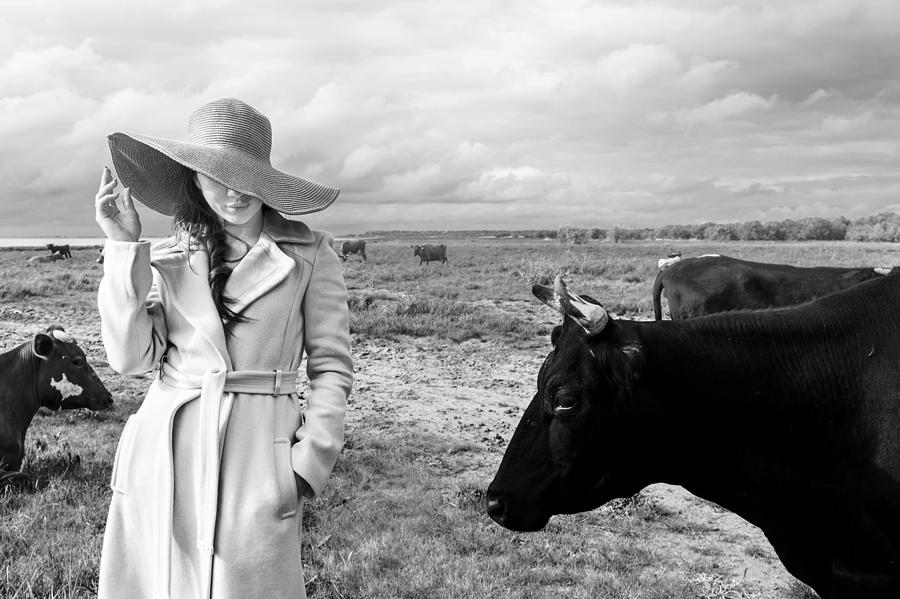 Cow Photograph - Untitled 4 by Mikhail Potapov Cow Photograph - Untitled 4 by Mikhail Potapov
