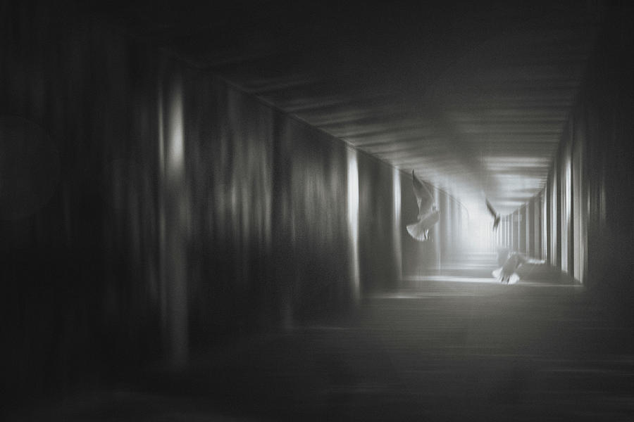 Mood Photograph - Untitled by Teruhiko Tsuchida Mood Photograph - Untitled by Teruhiko Tsuchida