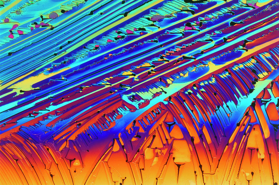 Urea Crystals Photograph by Sidney Moulds/science Photo Library - Fine ...