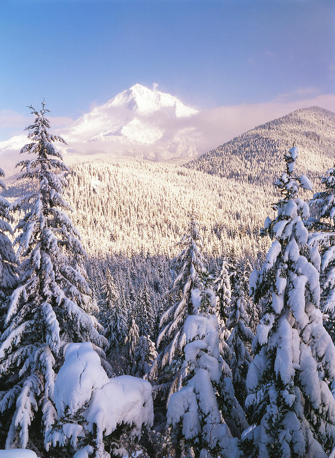 USA, Oregon, Mt Hood National Forest Photograph By Stuart Westmorland