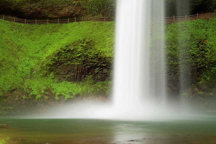 USA, Oregon, Silver Falls State Park Photograph by Jaynes Gallery