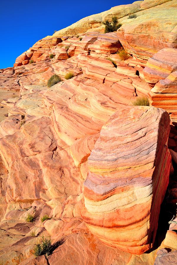 Valley of Fire #7 Photograph by Ray Mathis