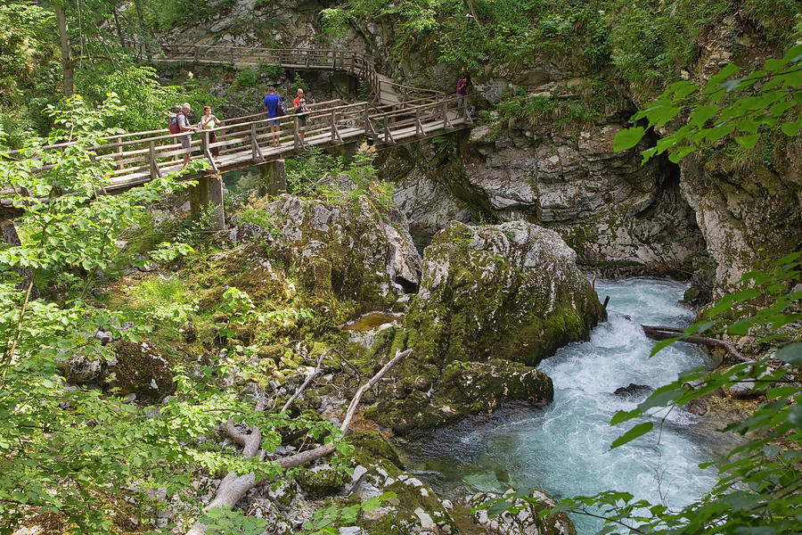 Nature Photograph - Vintgar Gorge, Slovenia #4 by Ken Welsh