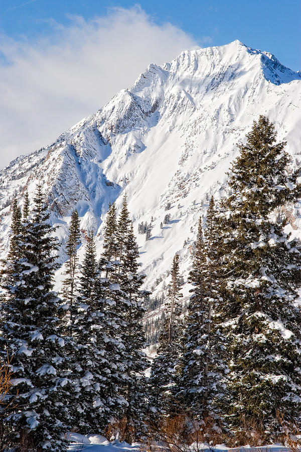 Wasatch Mountains in Winter #4 Photograph by Douglas Pulsipher