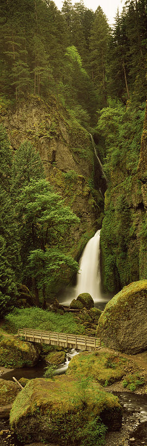Nature Photograph - Waterfall In A Forest, Columbia River #4 by Panoramic Images