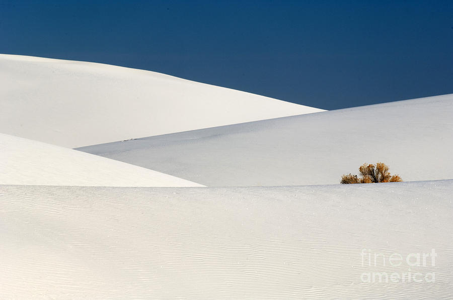 White Sands #4 Photograph by John Shaw