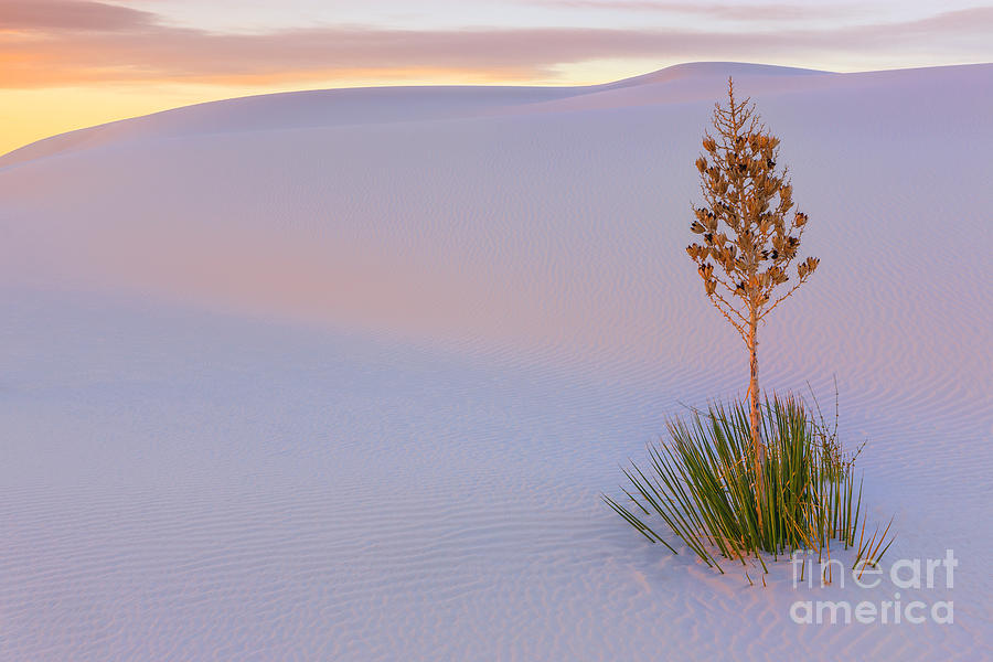 White Sands National Monument #5 Photograph by Henk Meijer Photography