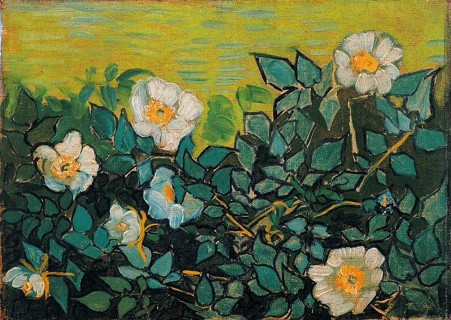 Wild Roses #3 Painting by Vincent Van Gogh