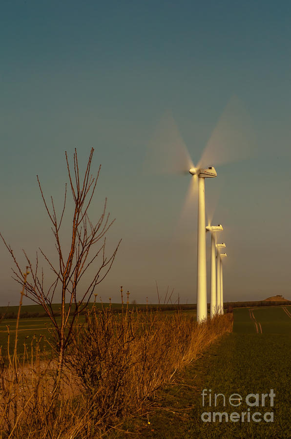 Windpower #4 Photograph by Jorgen Norgaard