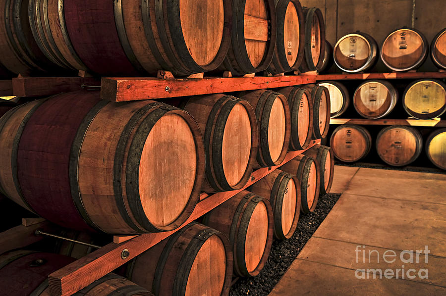 Wine Photograph - Wine barrels 6 by Elena Elisseeva