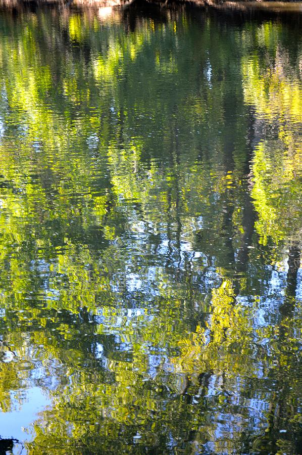 Winnebago River Reflection #4 Photograph by Curtis Krusie