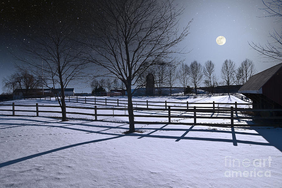 Winter Full Moon #2 Photograph by Larry Landolfi