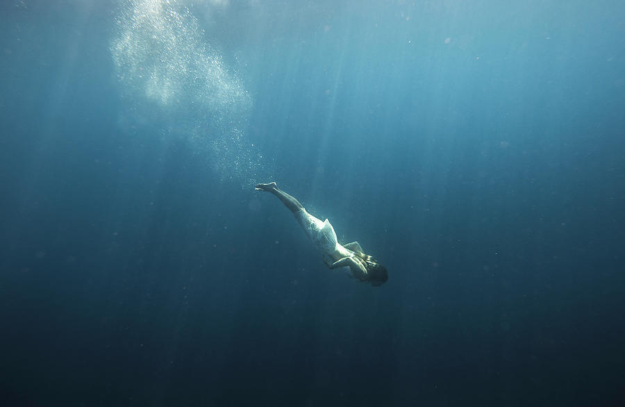 Woman Swimming With Whale Shark Photograph By Tyler Stableford - Fine 